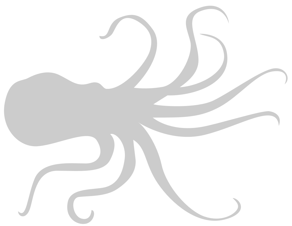 Octopus vector