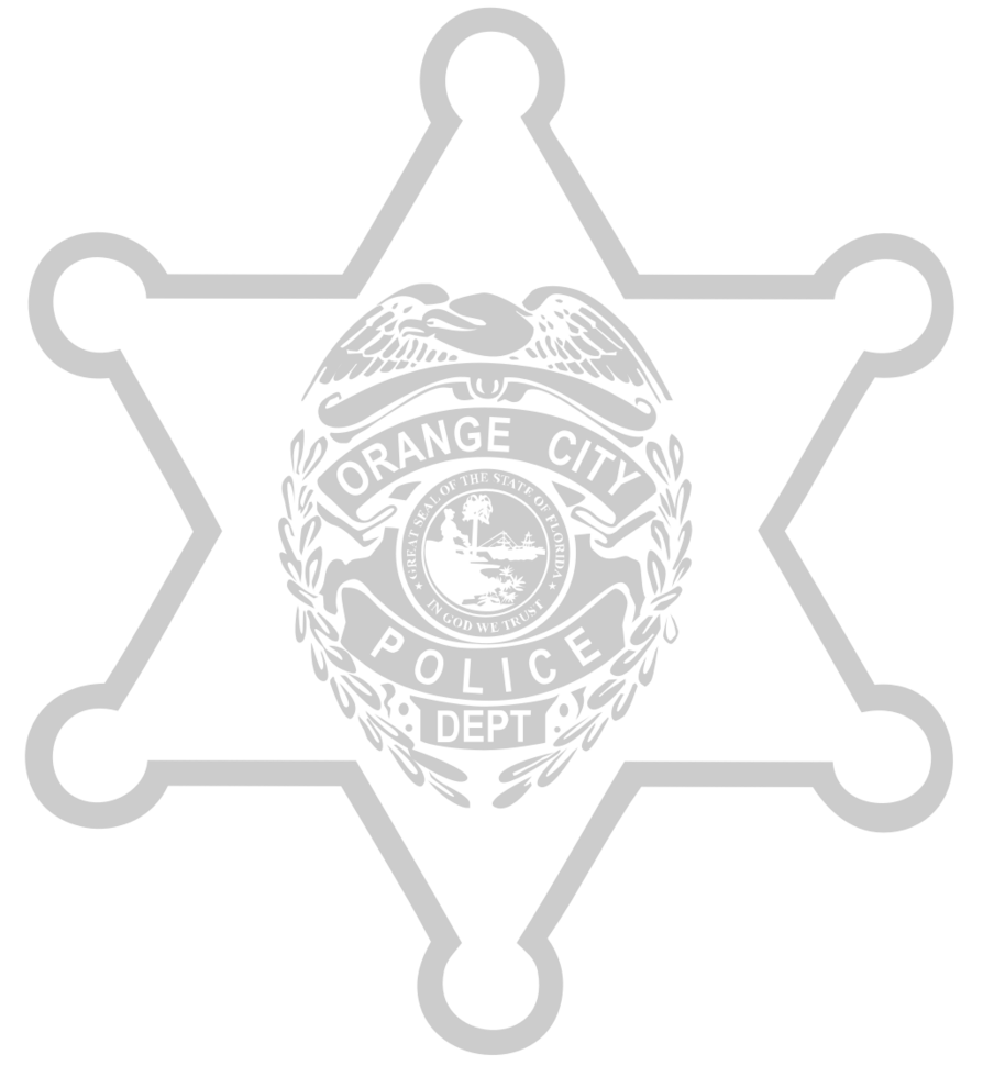 Police badge vector