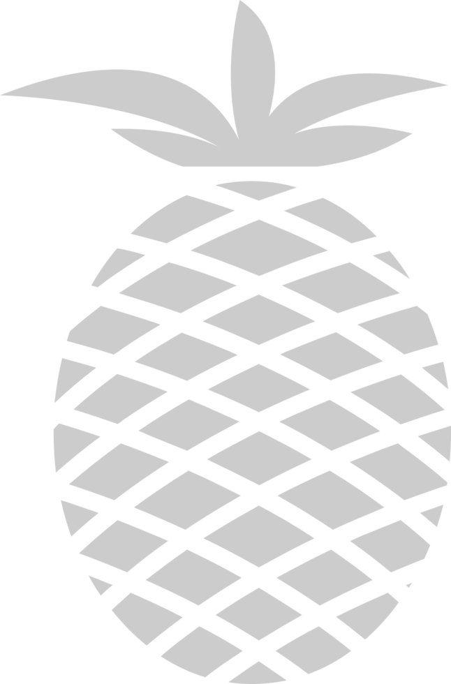 Pineapple  vector