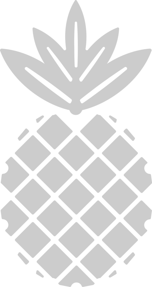 Pineapple  vector