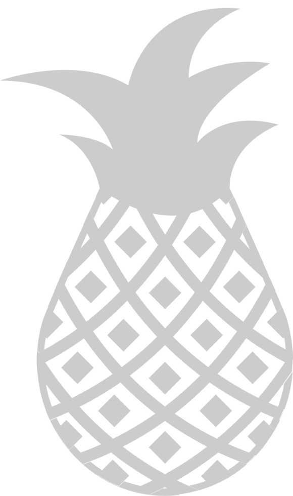 Pineapple  vector