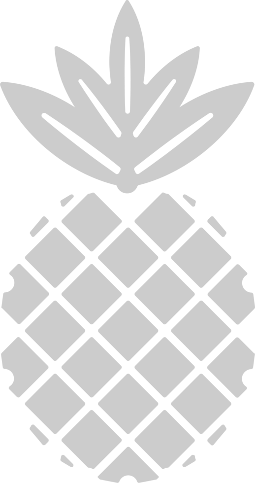 Pineapple  vector