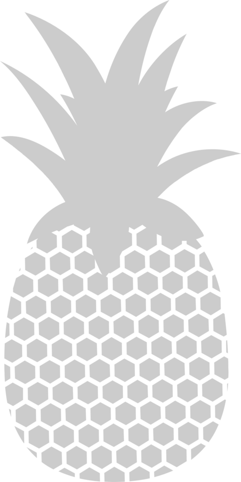 Pineapple  vector
