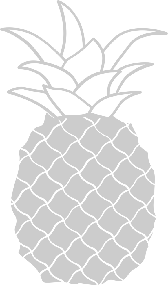 Pineapple  vector
