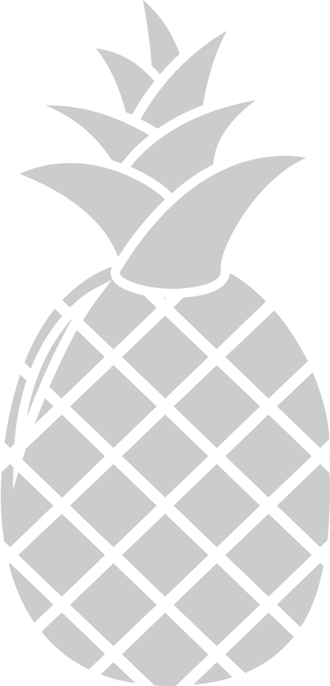 Pineapple  vector