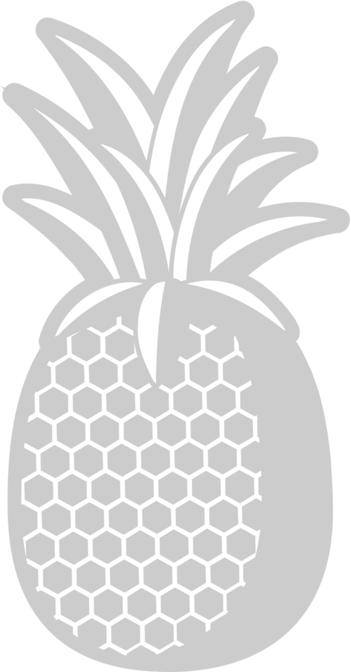 Pineapple  vector