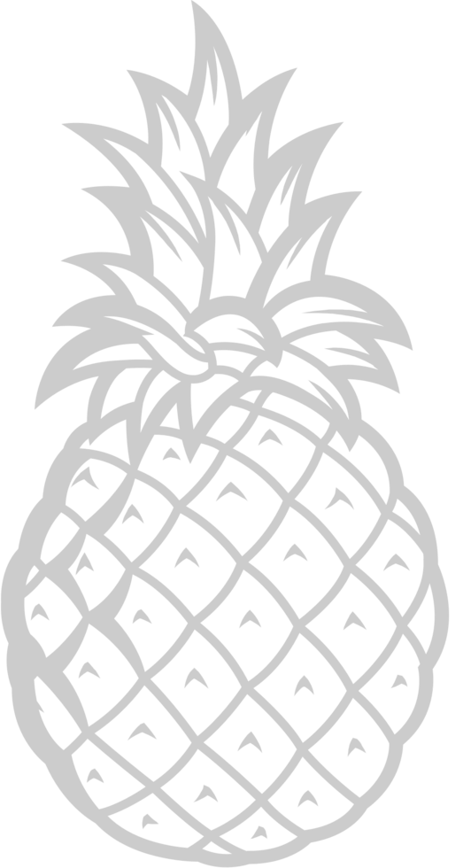 Pineapple outline vector