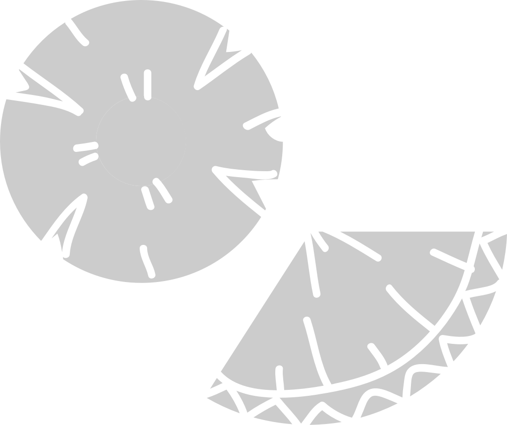 Pineapple slices vector