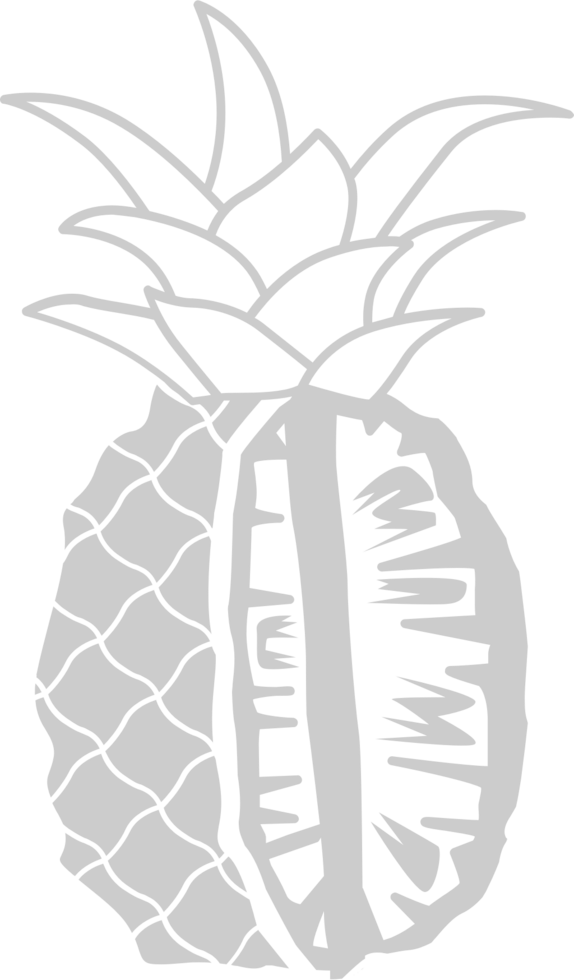 Pineapple slices vector