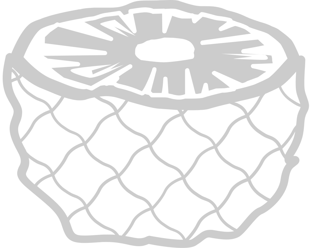 Pineapple slices vector