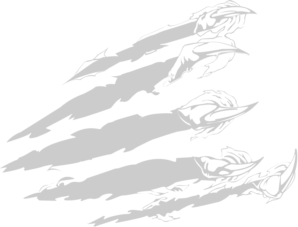 Claw scratch  vector