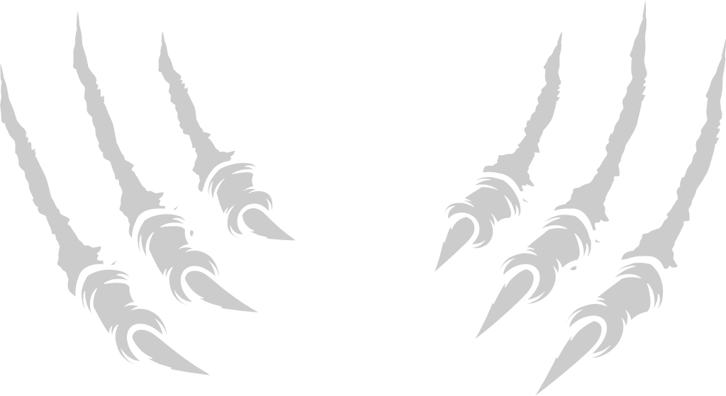 Claw scratch  vector