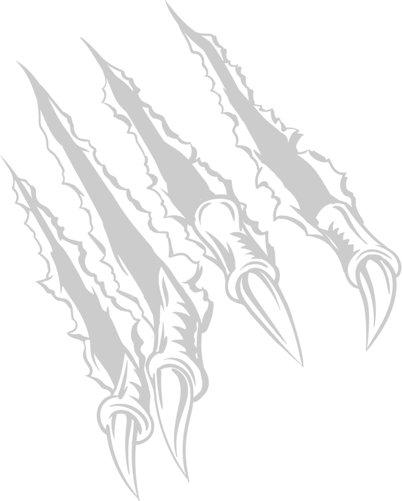 Claw scratch  vector