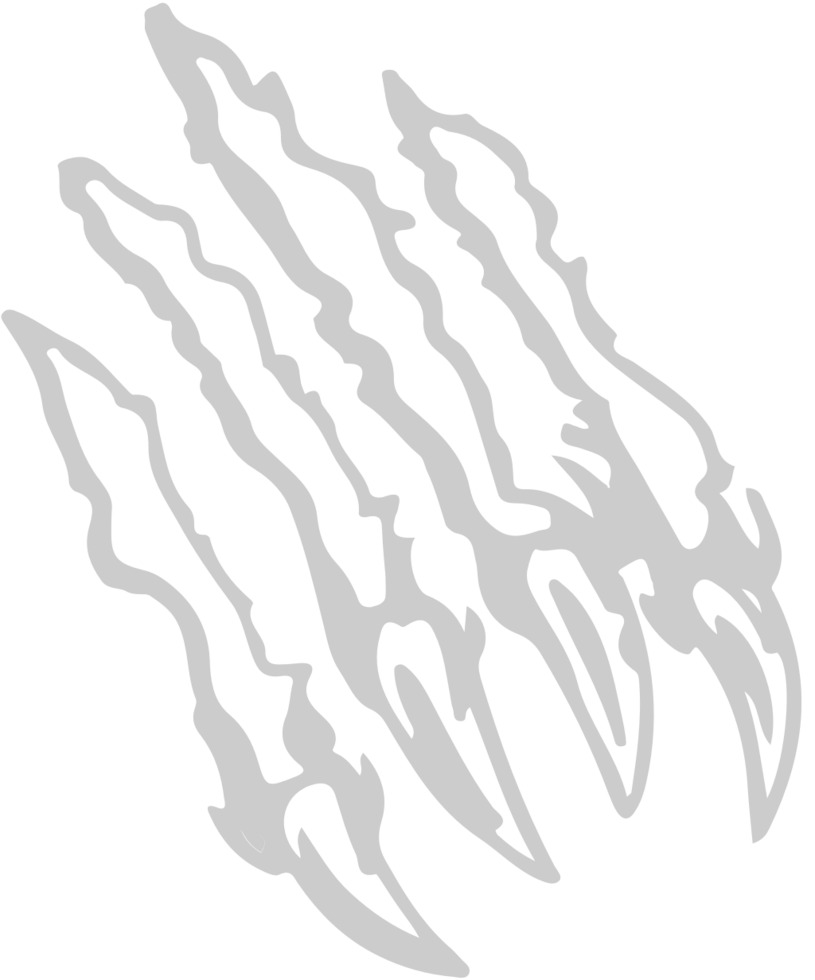 Claw scratch  vector