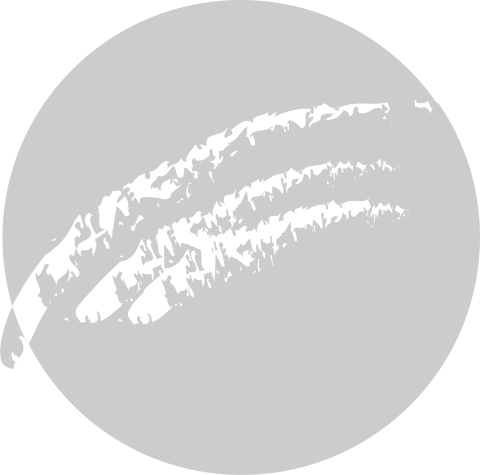 Scratch claw on circle shape vector