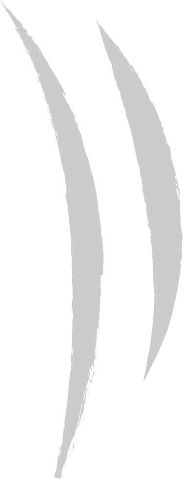 Scratch vector