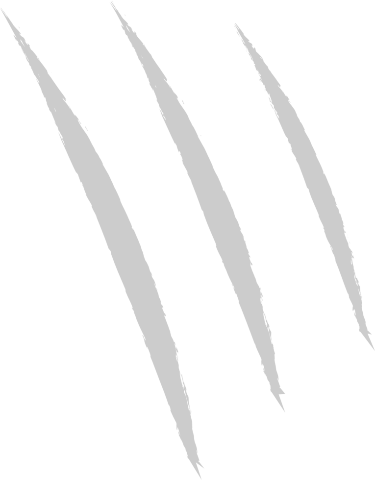 Scratch vector