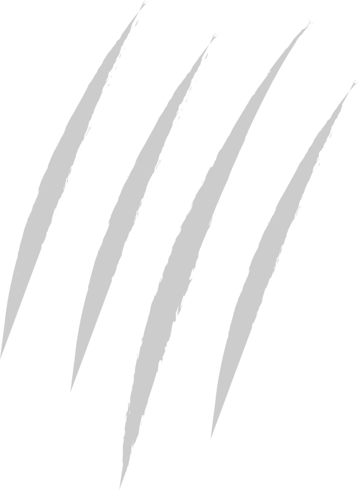 Scratch vector