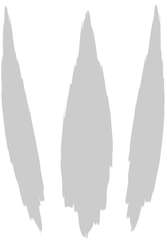 Scratch vector