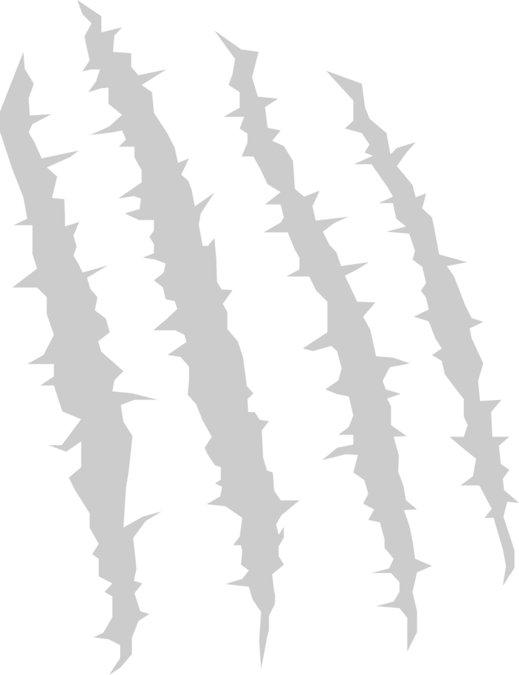 Scratch vector