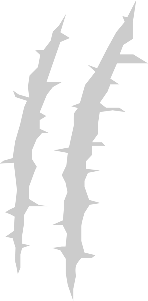 Scratch vector