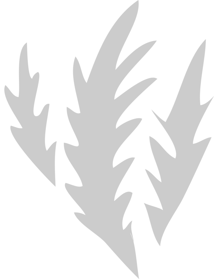 Scratch vector
