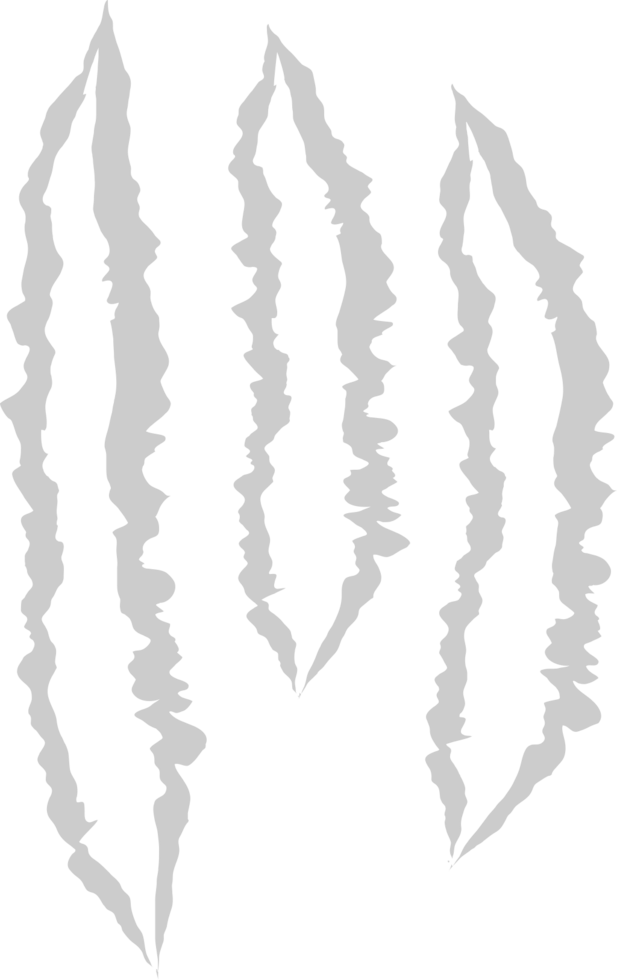 Scratch vector