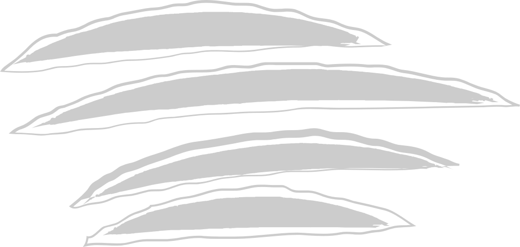 Scratch vector