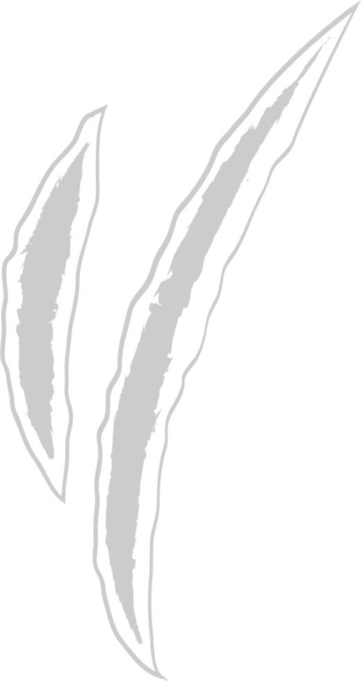 Scratch vector