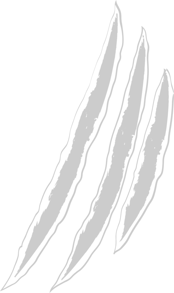 Scratch vector