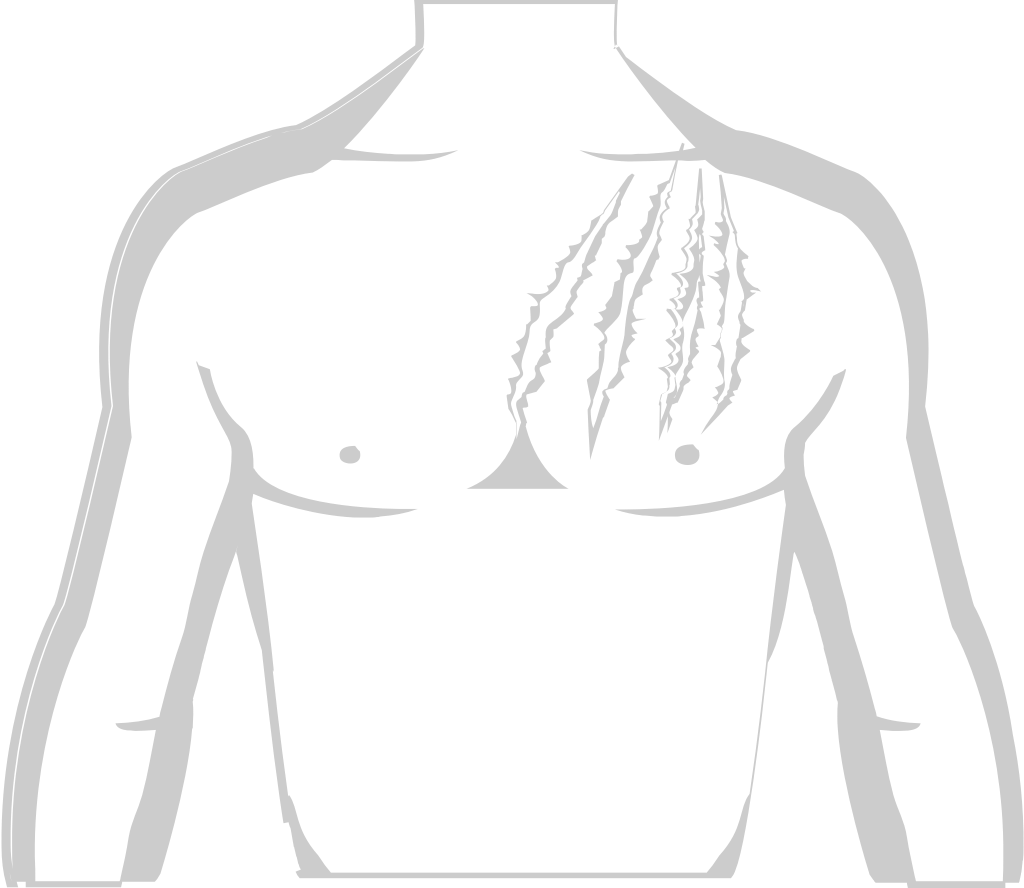 garra rasguño en cuerpo vector