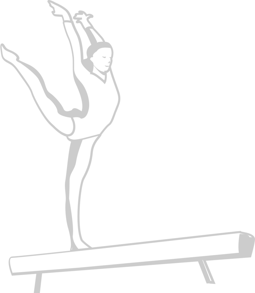 Olympic fencing gymnastic vector