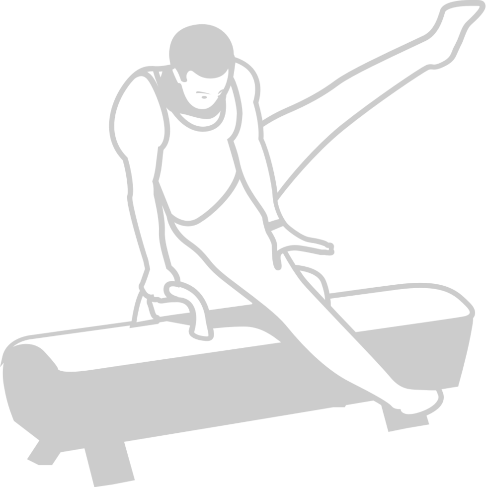 Olympic pommel horse vector