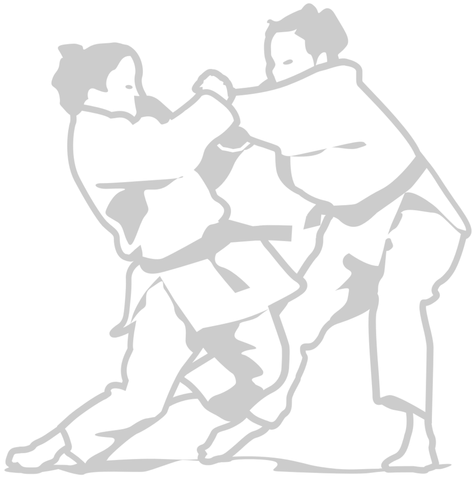 Olympic judo vector