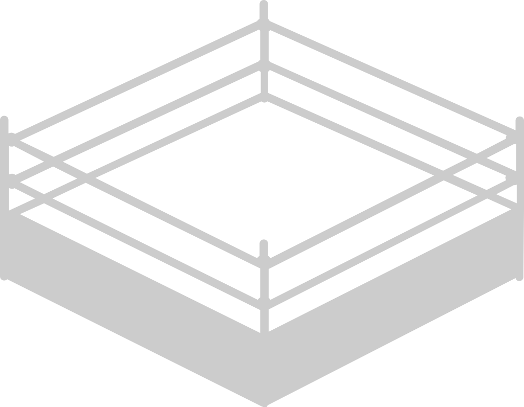 Wrestling arena ring vector