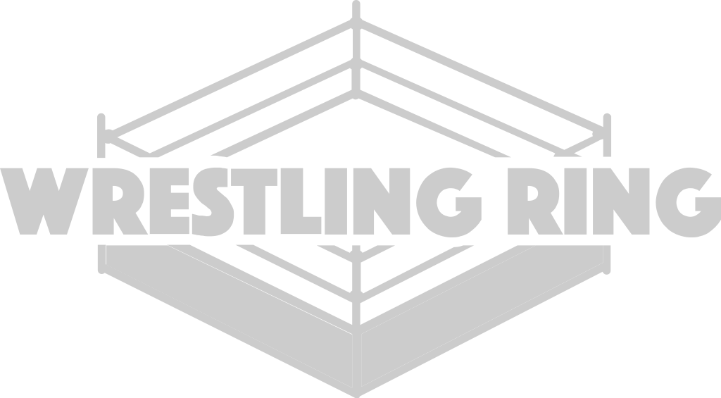 Wrestling arena ring vector