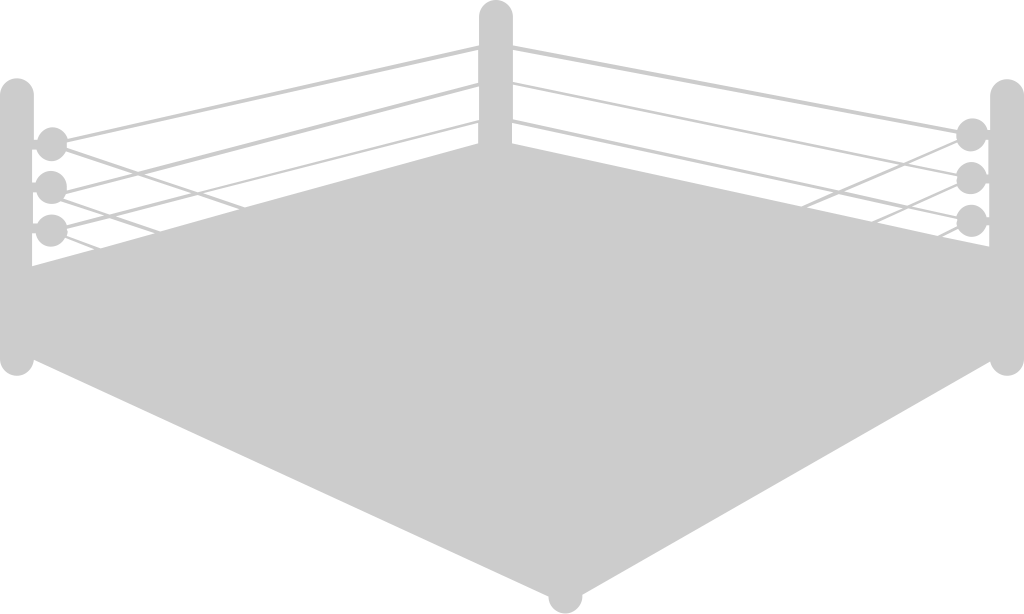 Wrestling arena ring vector