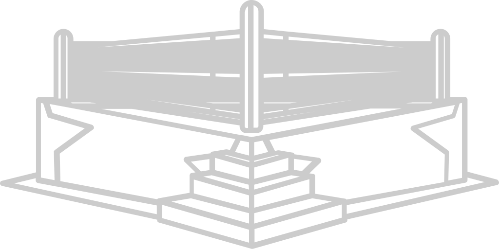 Wrestling arena ring vector