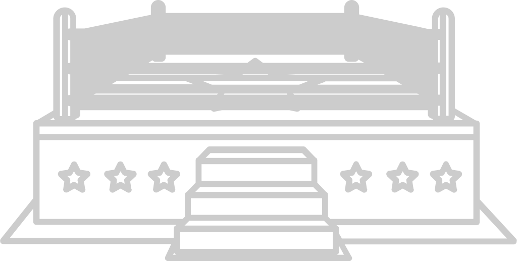 Wrestling arena ring vector