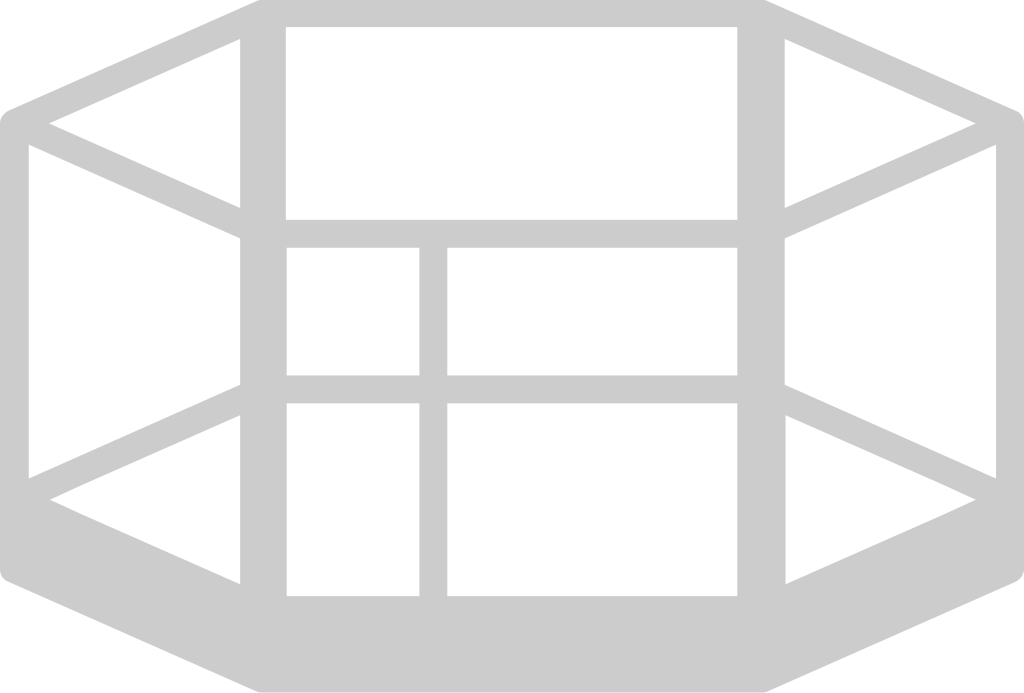 Wrestling arena ring vector