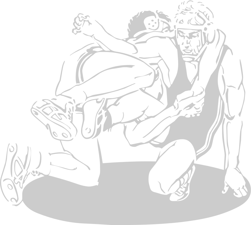 Wrestling illustration vector