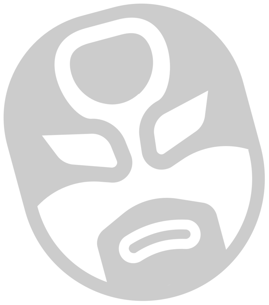 Wrestling mask vector