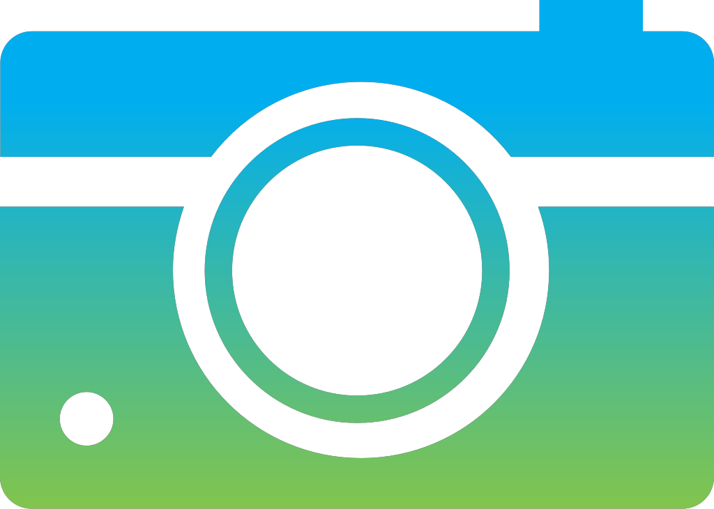 Camera vector