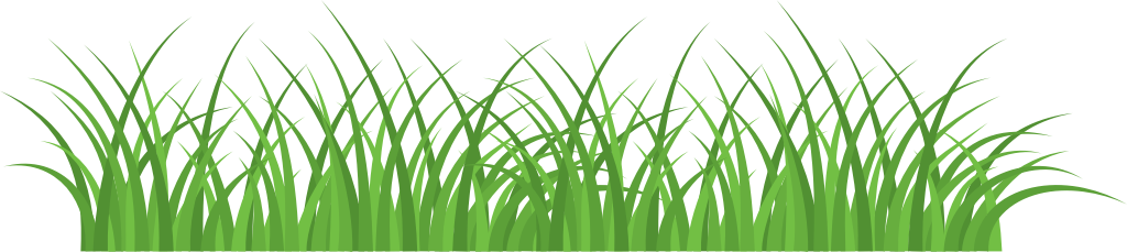Grass vector