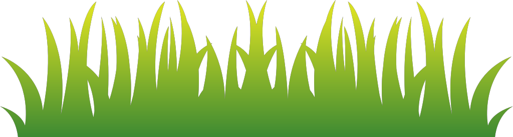 Grass vector