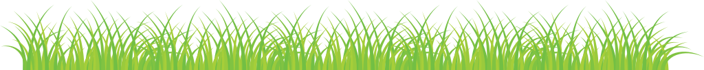 Grass vector