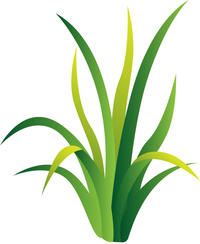 Grass vector