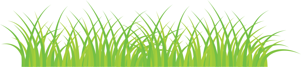 Grass vector