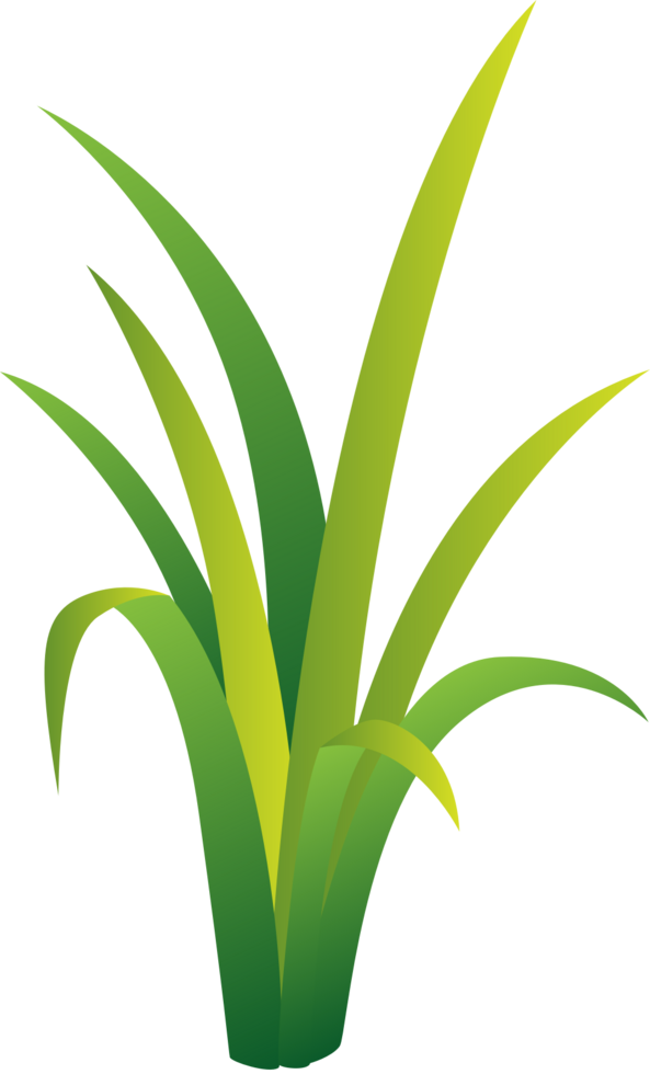 Grass vector