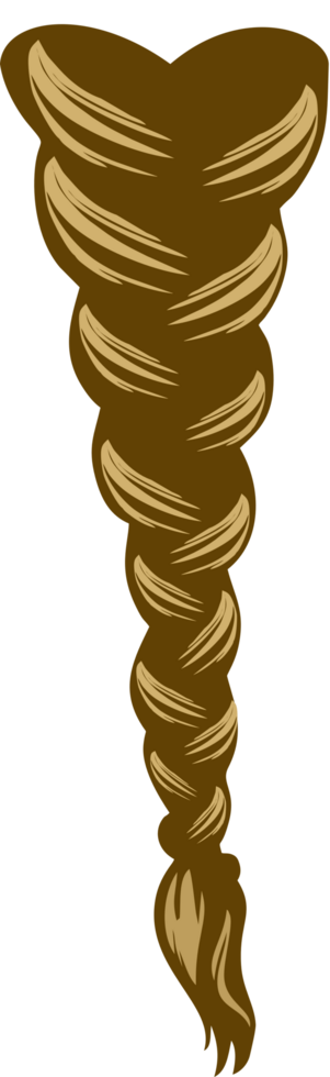 Braid vector